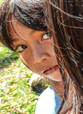 gallery-002-free-img