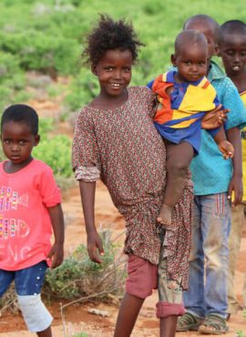 what-we-do-001-free-img