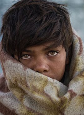 what-we-do-002-free-img